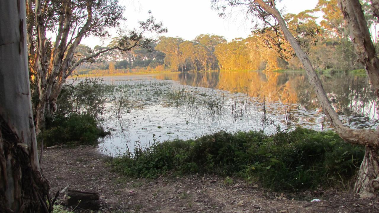 Lake Russell Retreat エメラルド・ビーチ エクステリア 写真